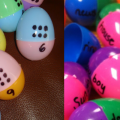 eggs
