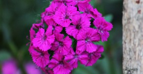 IMG_1089