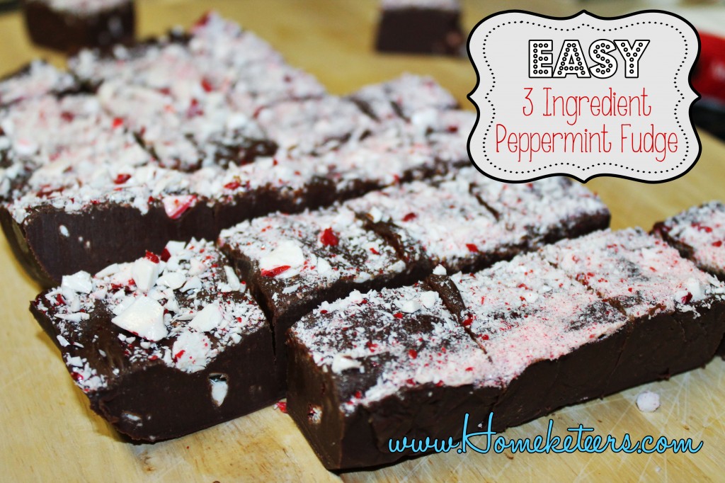 Easy 3 Ingredient Microwave Peppermint Fudge #recipe #christmas #dessert