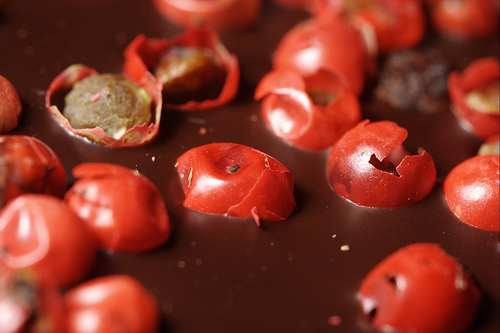 The 10 Weirdest Chocolate-Coated Foods