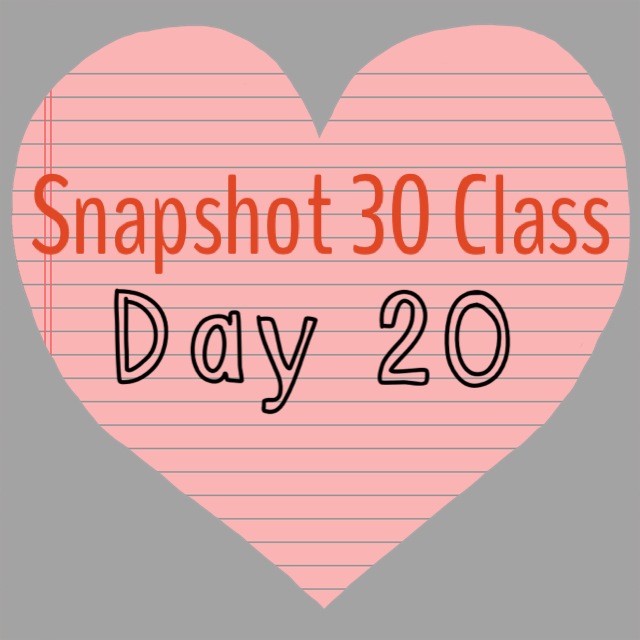 Snapshot 30 Class: Learn How to Take Better Photos {Day 20}