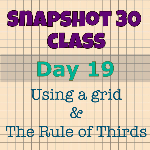 Snapshot 30 Class: Learn How to Take Better Photos {Day 19}